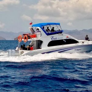 Private Trip Rinca-Padar - Komodo Island and Rinca Island, including trekking to viewpoints and observing Komodo dragons