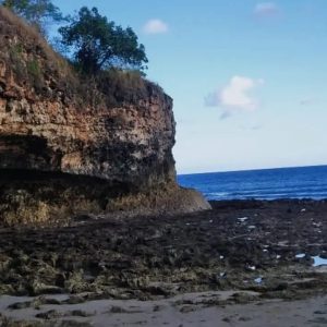 Full Day Tour  Liang Bua Cave