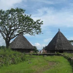 Full Day Trip to Todo Village