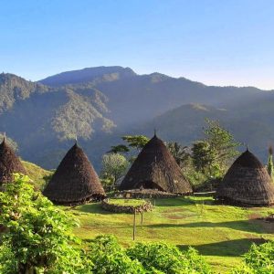 Komodo Wae Rebo Trip 3 Days 2 Nights