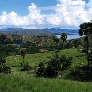Half Day Tour Labuan Bajo