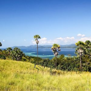 Komodo Tour & Wae Rebo 3 Days 2 Nights